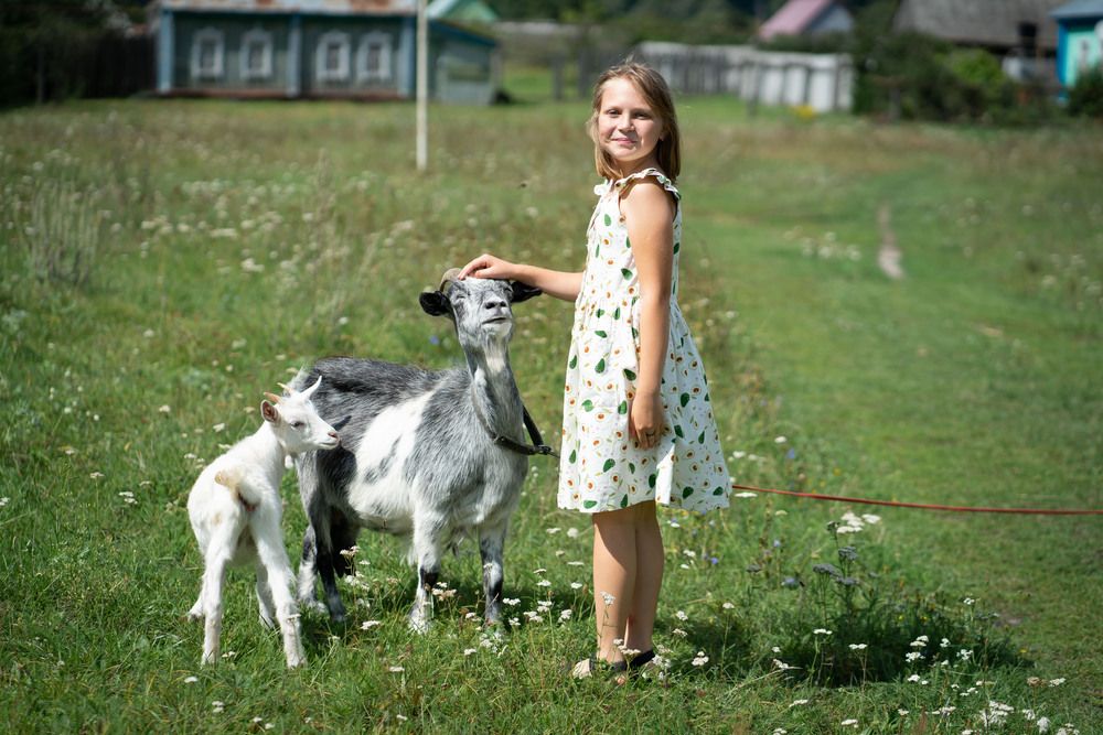 деревенька моя