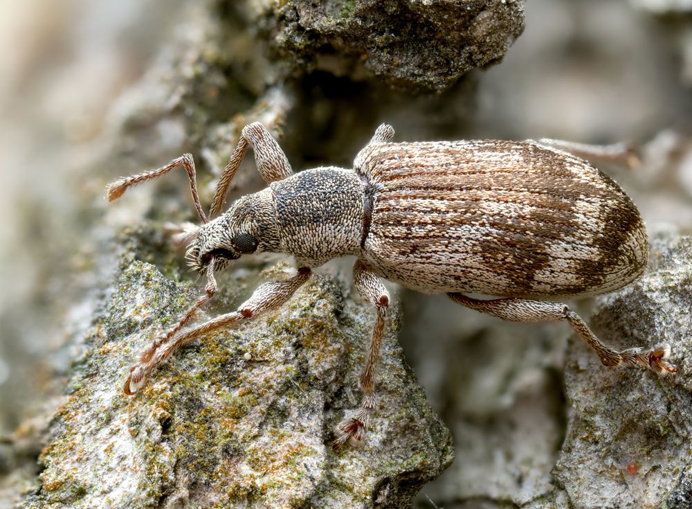 Photograph by Глеб Коровко