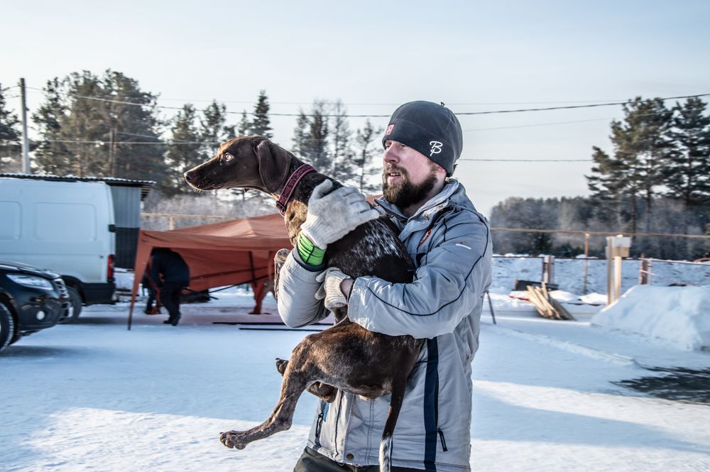 Photograph by Дмитрий Анисимов