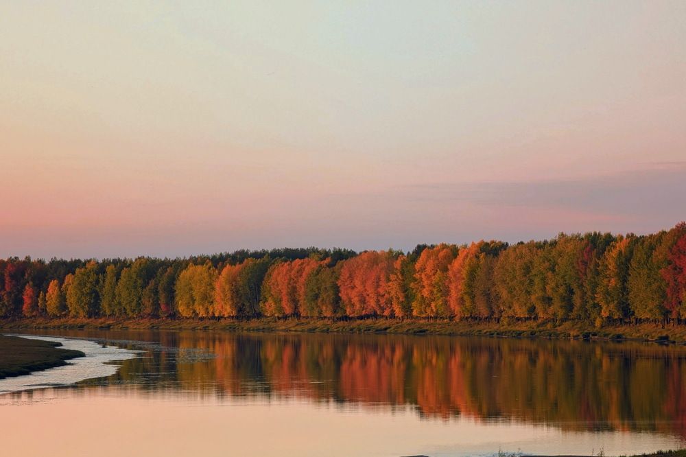 Photograph by Сергей Шевырин