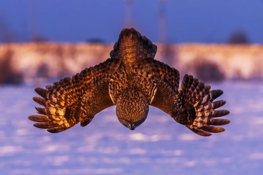 Photograph by Кирилл Мушак