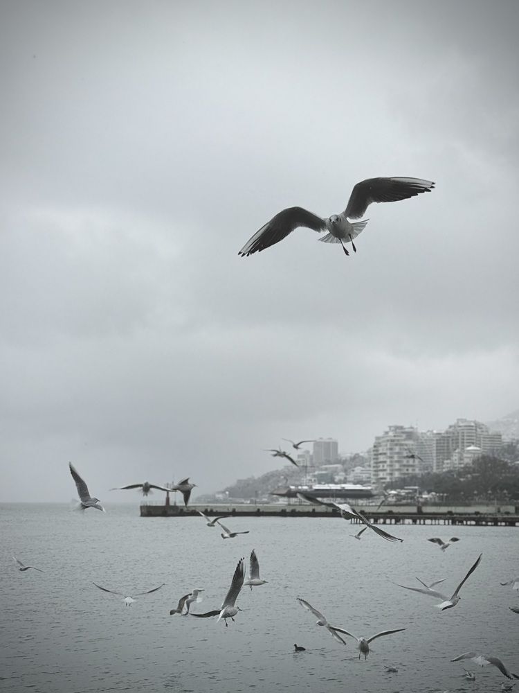 Photograph by Кристина Коробова