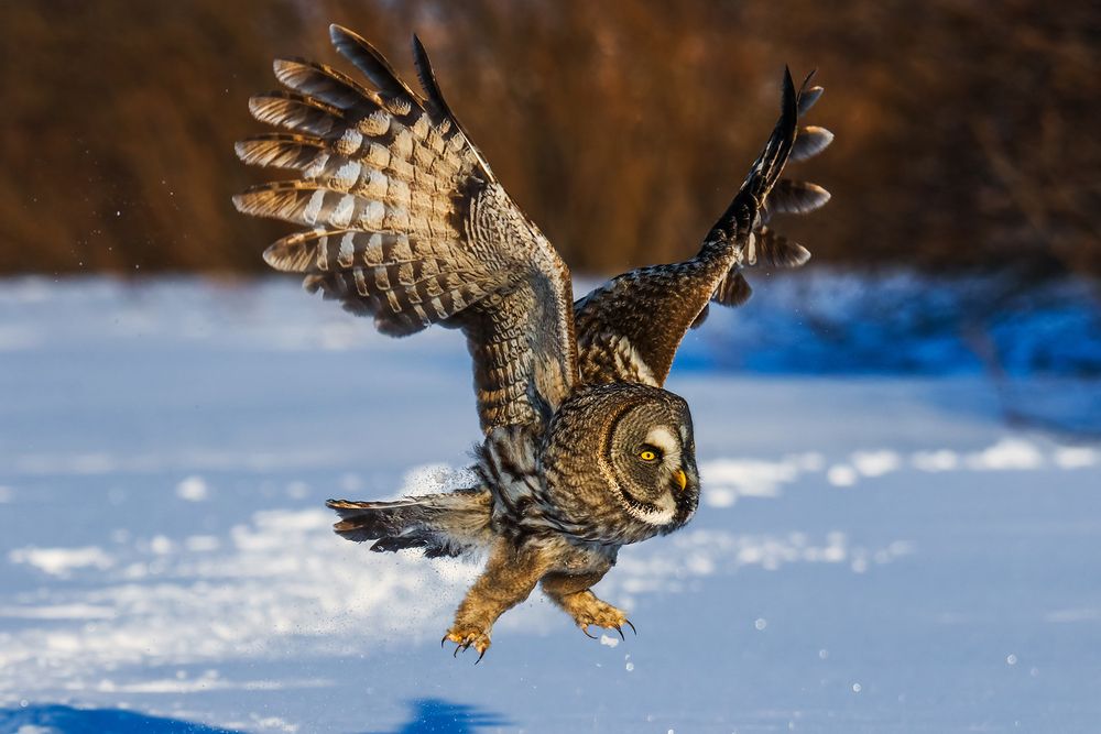 Photograph by Кирилл Мушак