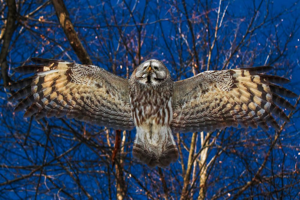 Photograph by Кирилл Мушак