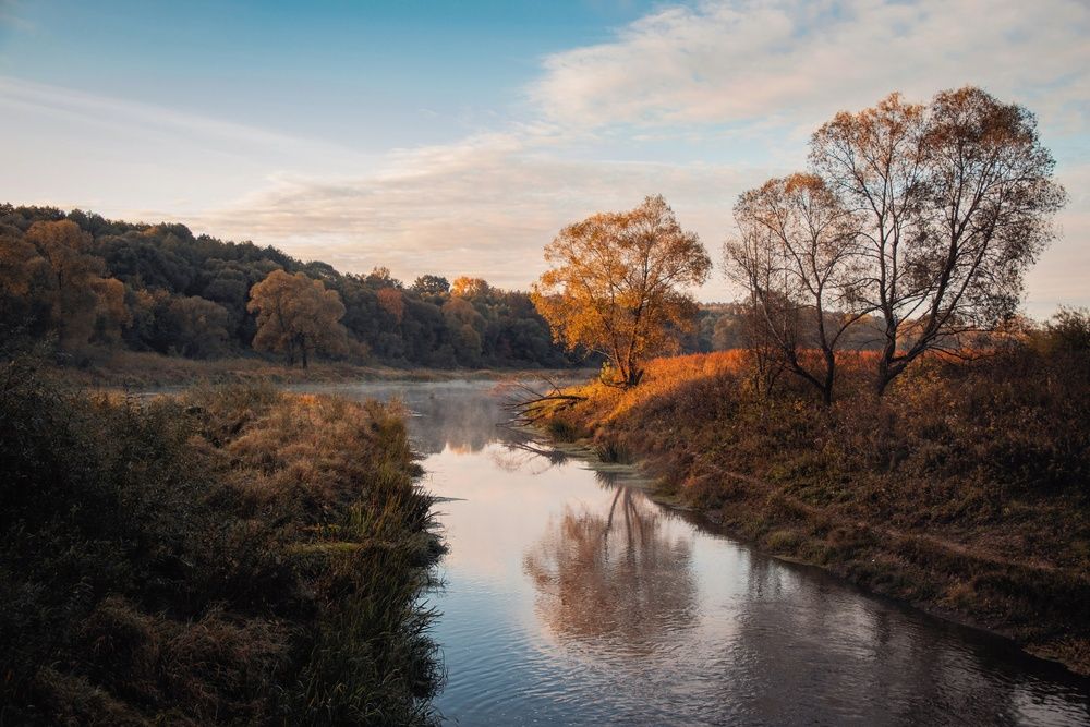 Photograph by Анна Любимова