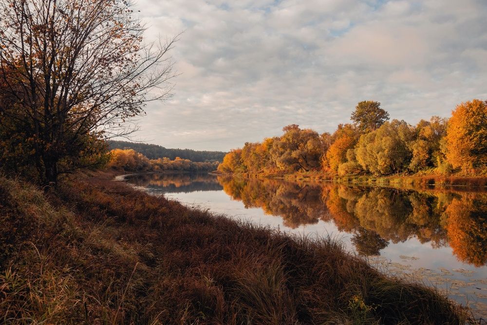 Photograph by Анна Любимова
