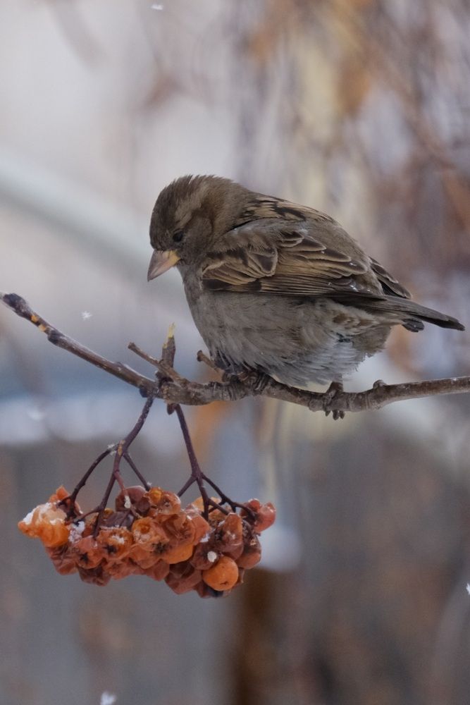 Photograph by Яна Истоцкая