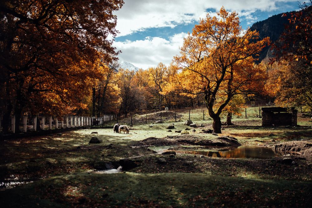 Photograph by Маргарита Поганова
