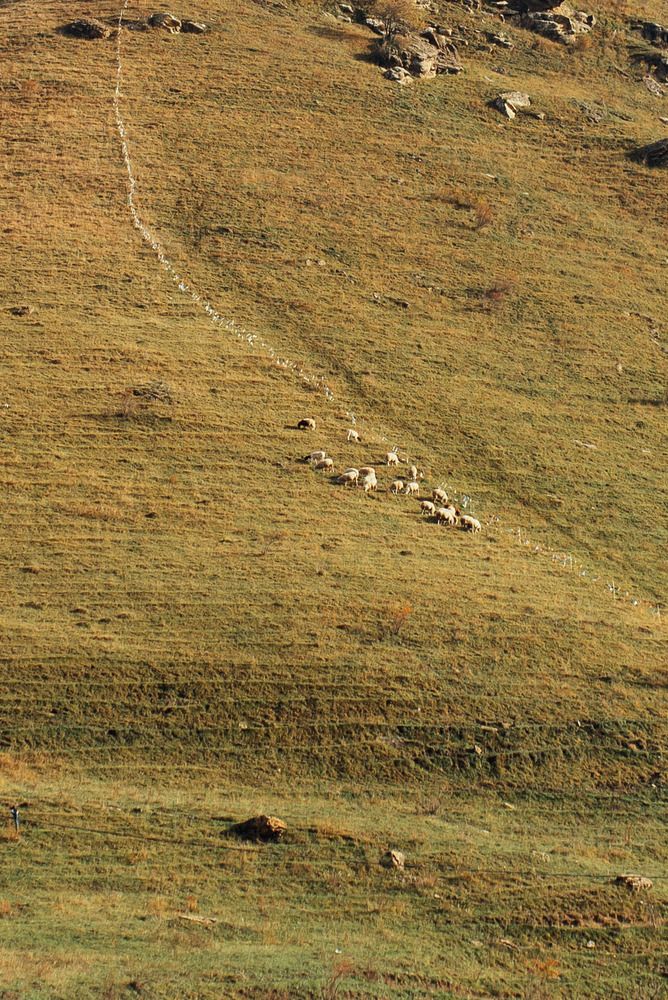 Photograph by Маргарита Поганова