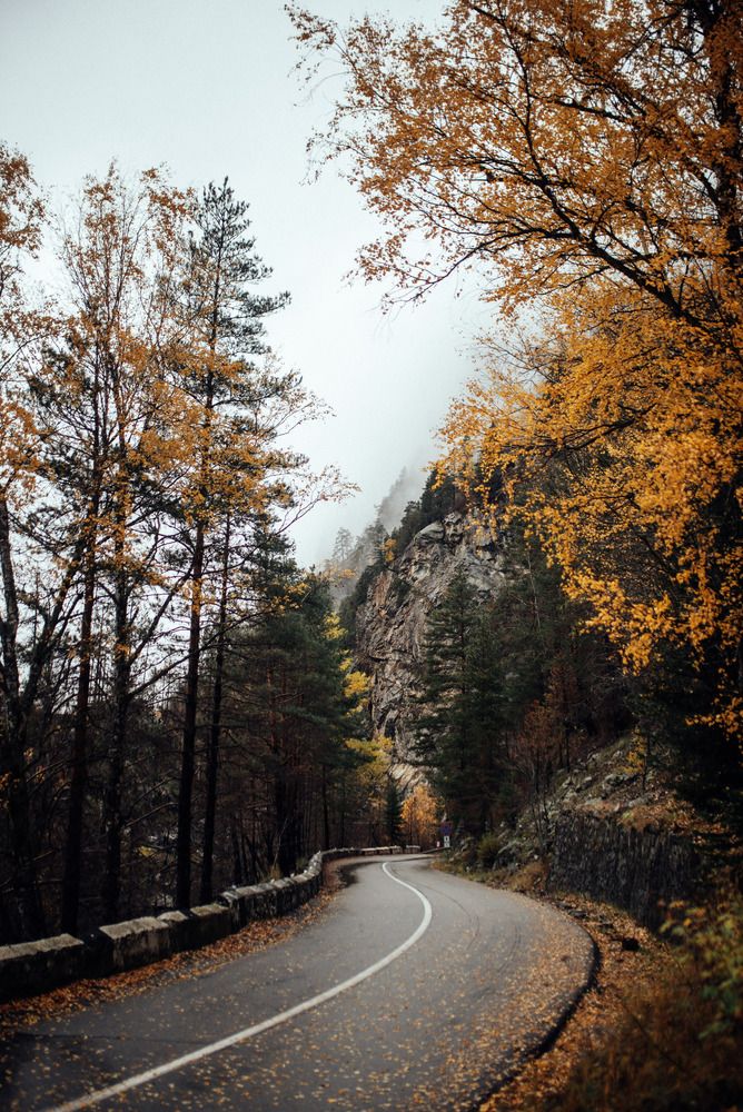 Photograph by Маргарита Поганова