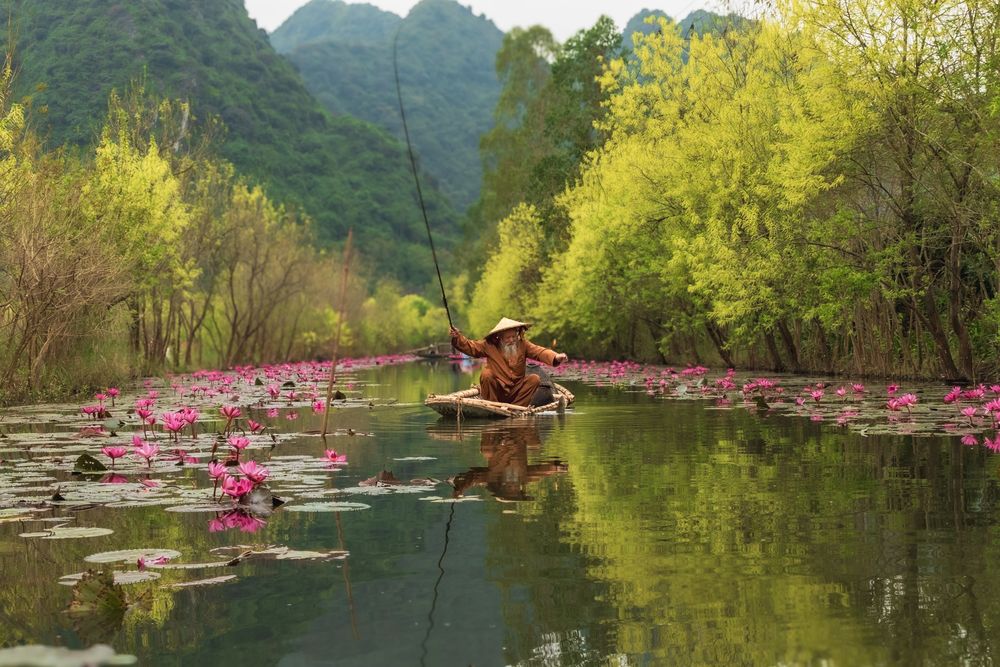 Photograph by QUAN NGUYEN HUNG