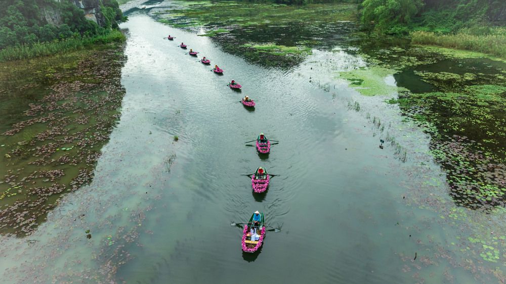 Фотография автора QUAN NGUYEN HUNG