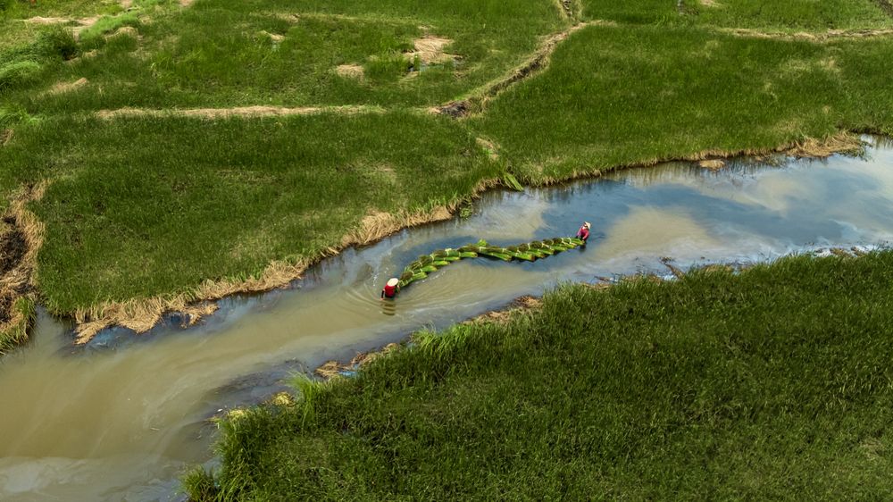 Фотография автора QUAN NGUYEN HUNG