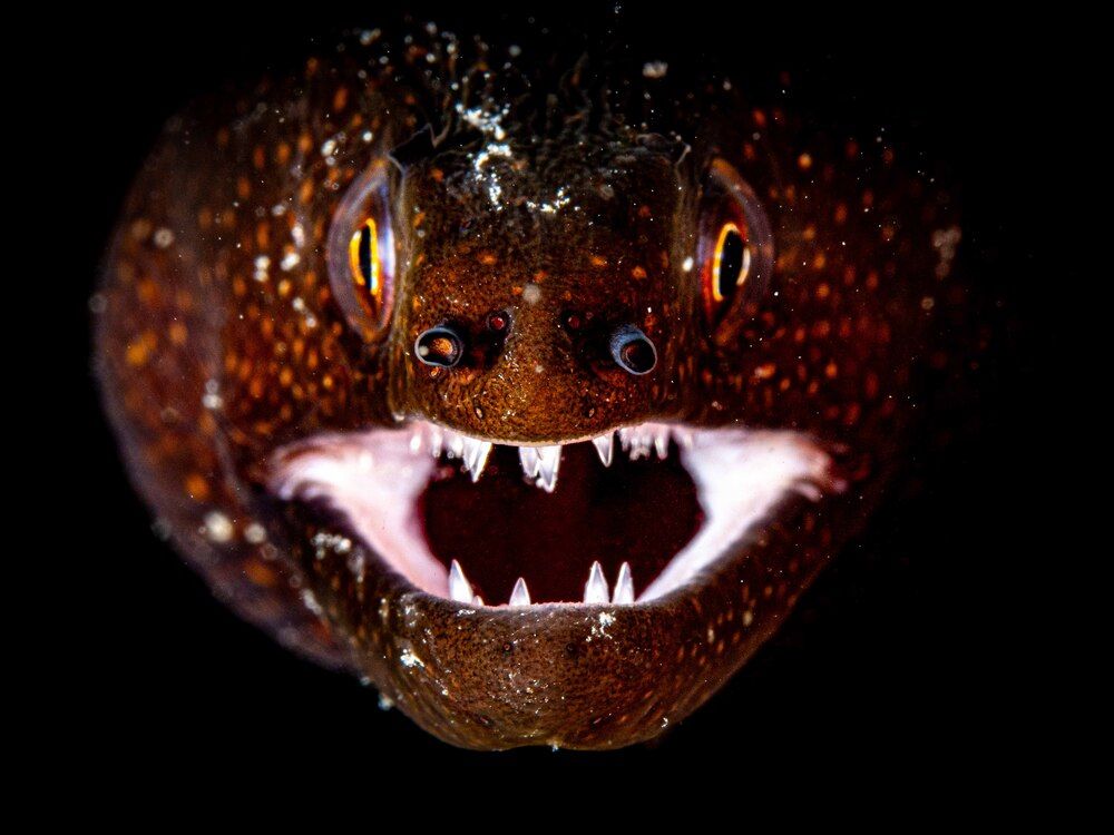 Photograph by Plakida Alexander