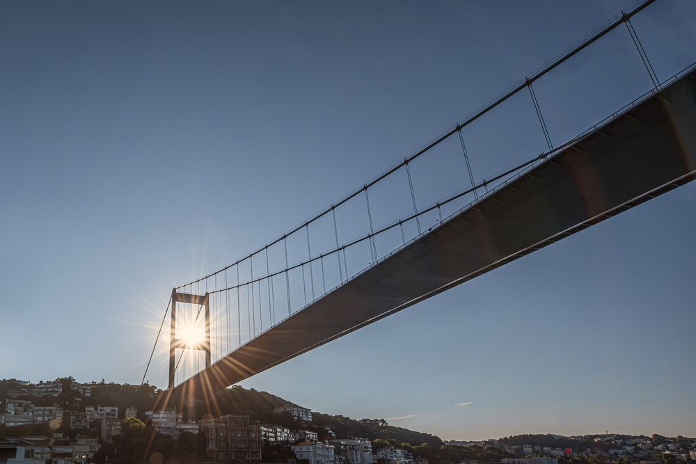 “Bridges: Where Journeys Meet”