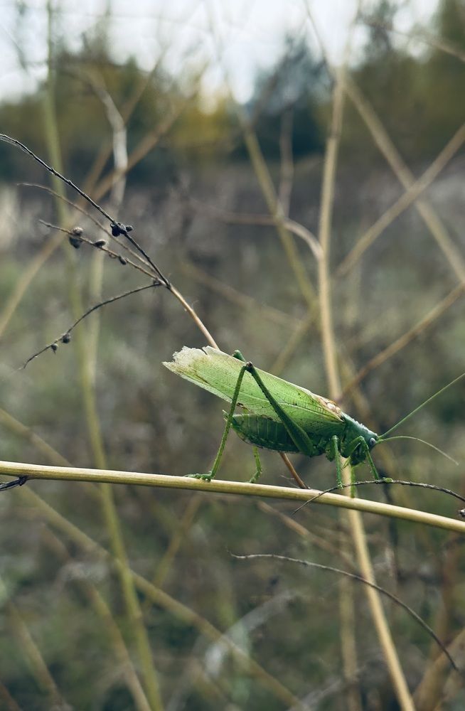 Photograph by Ксения Гулькова