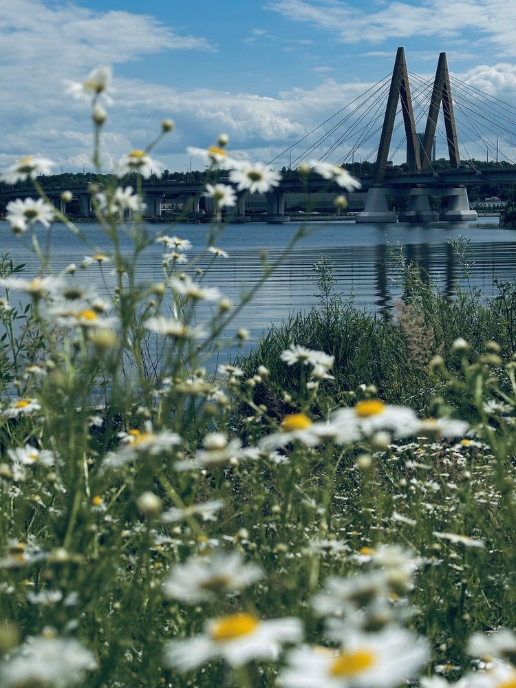Photograph by Ксения Гулькова