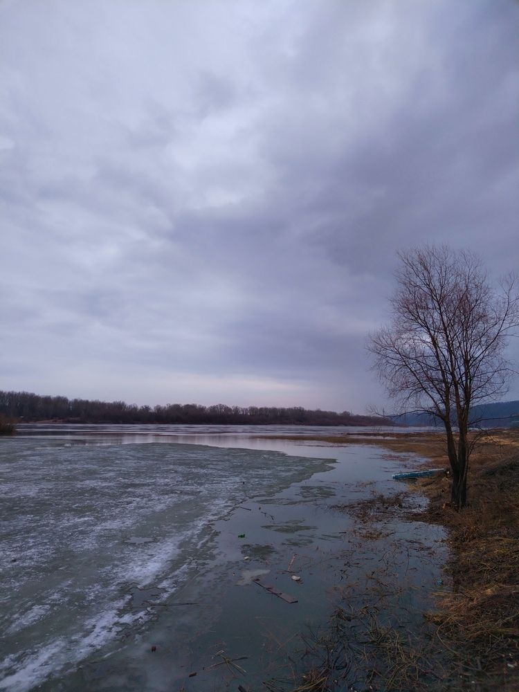 Photograph by Алёна Кибичеева