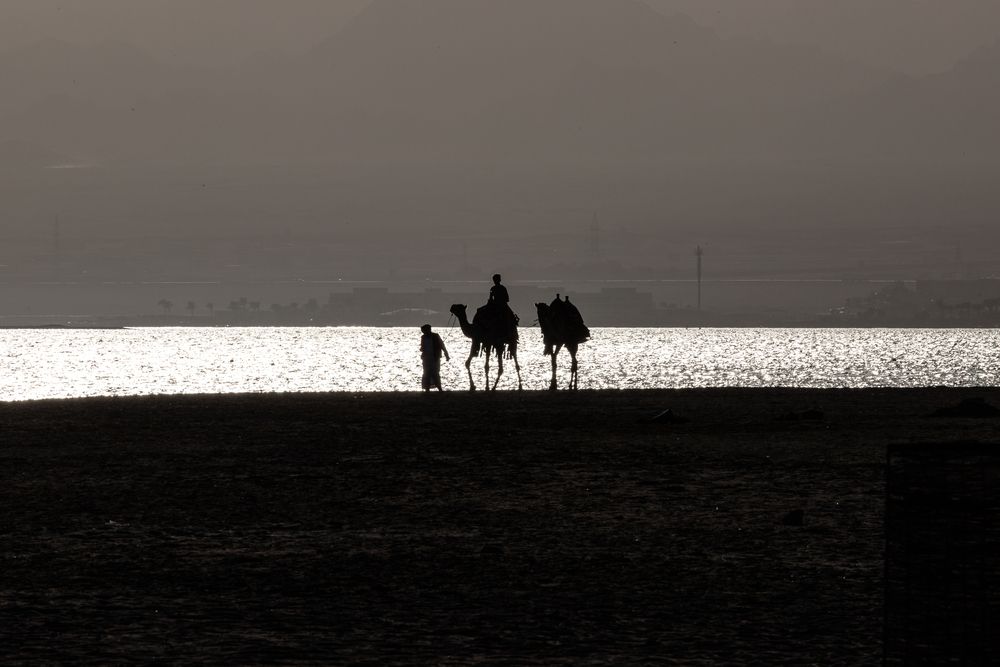 Photograph by Вадим Загуменнов