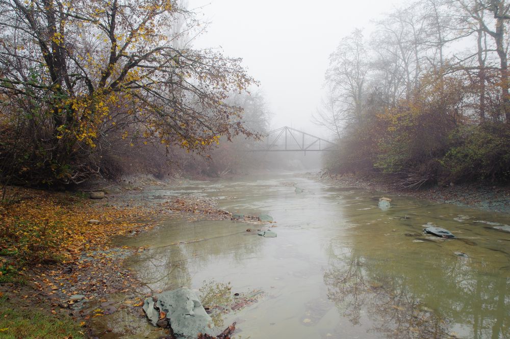 Photograph by Светлана Щемелева