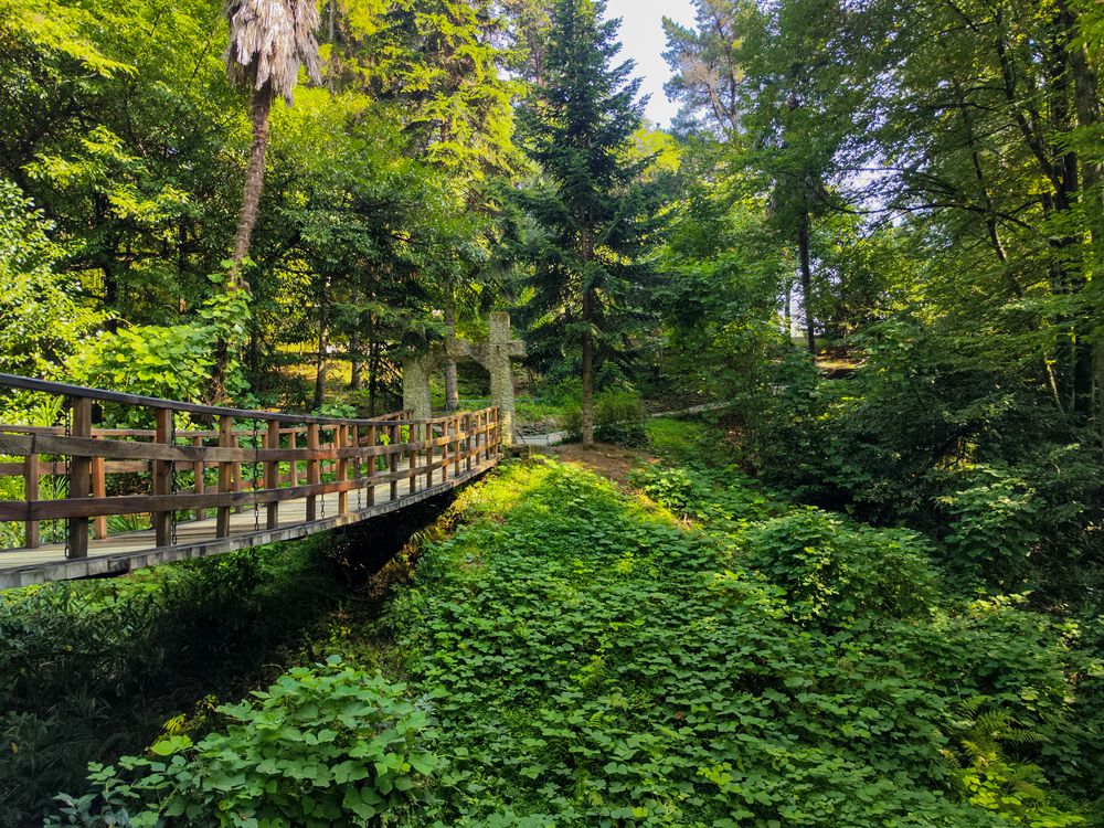 Photograph by Ирина Шибитова