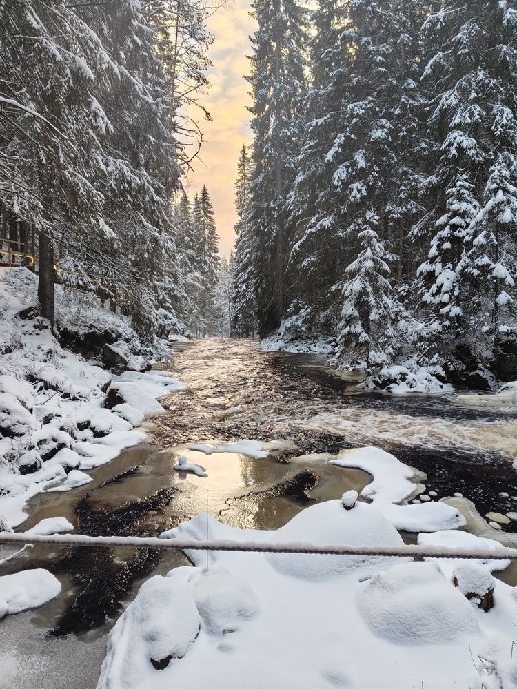Photograph by Алексей Дерендяев