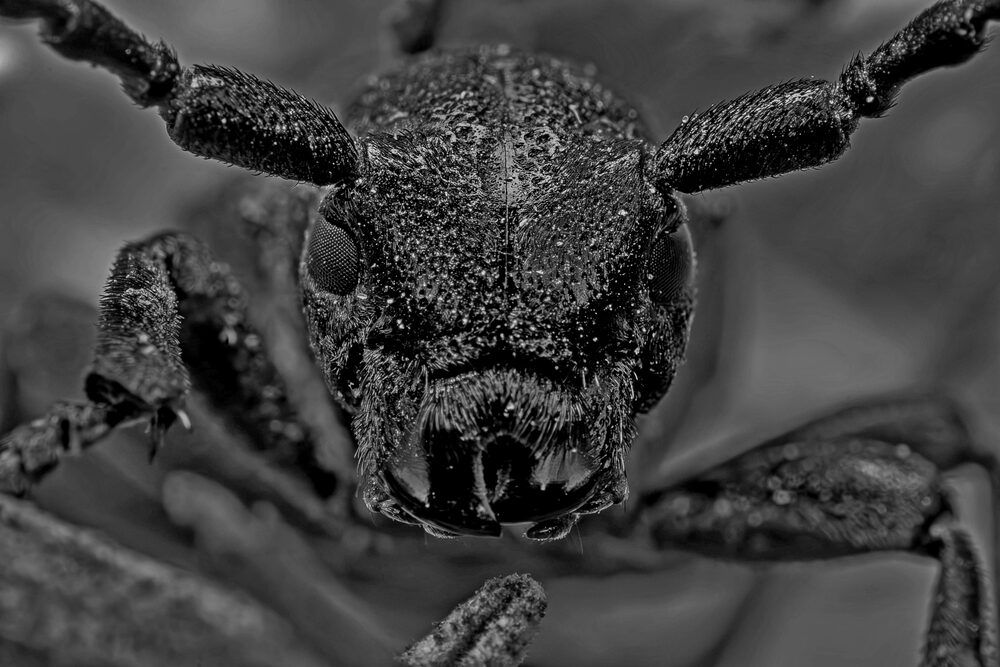 Photograph by Marianna Klein