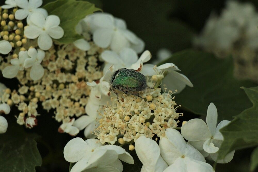 Photograph by Полина Ишкина