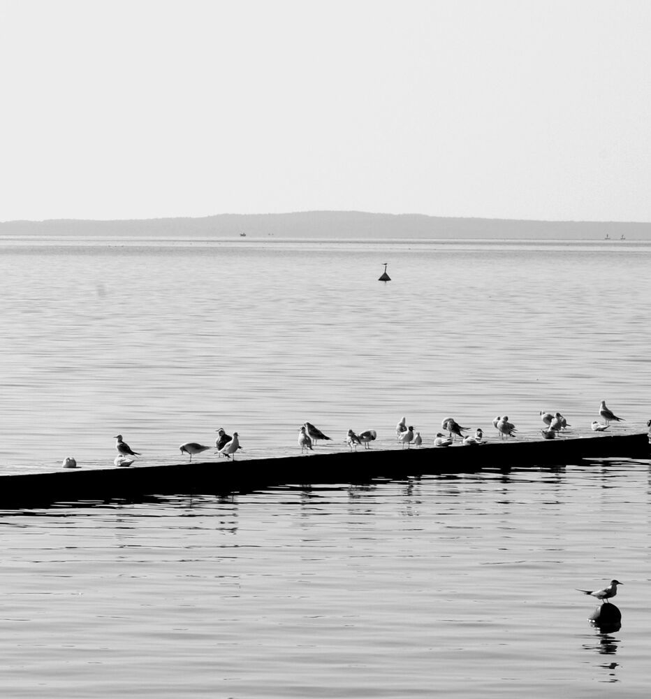 Photograph by Евгения Нестеренко