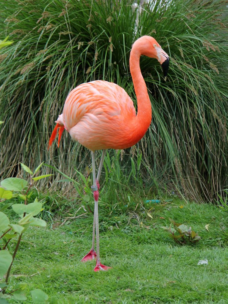 Photograph by Марина Виноградова