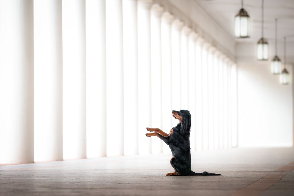 Photograph by Sina Möller