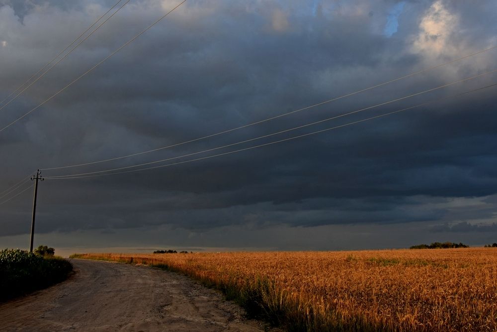 Photograph by Alexey Smal