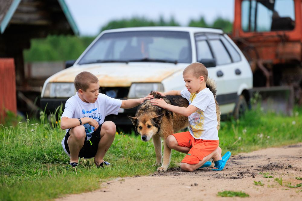 Photograph by Заломаева Надежда