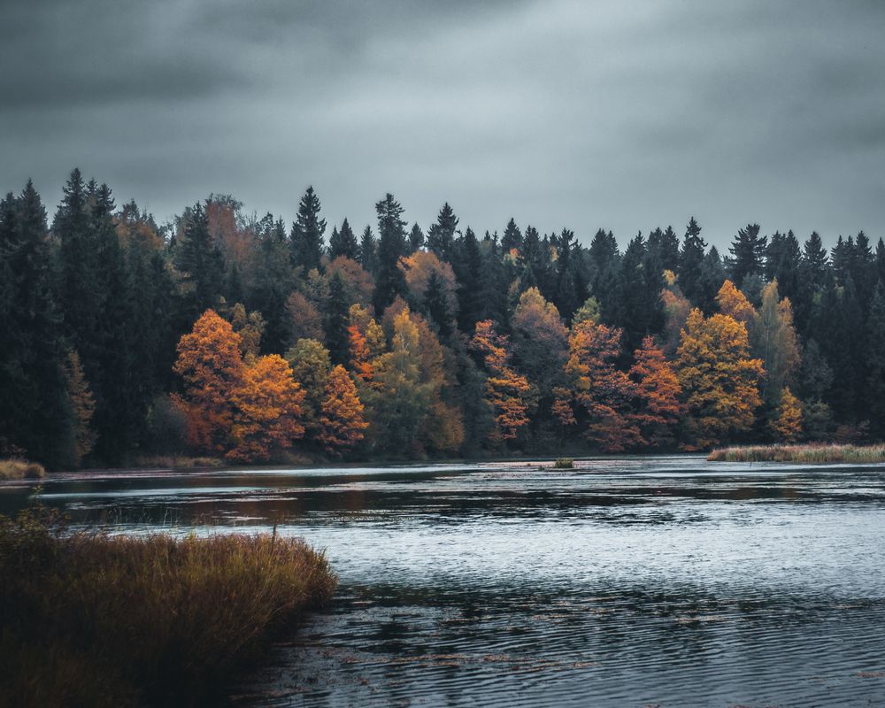 Photograph by Nikolai Nikolin