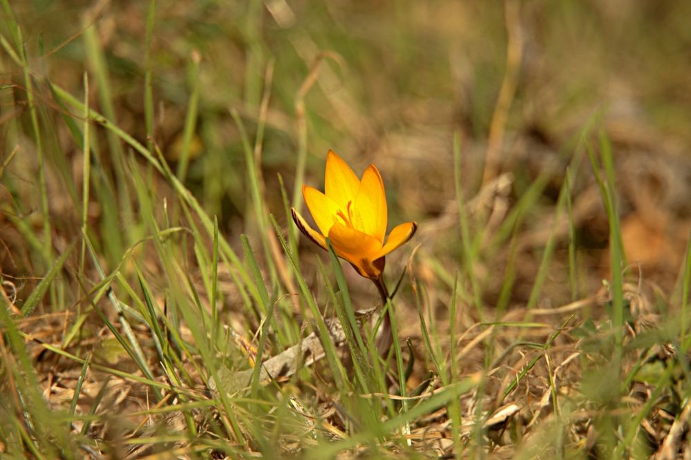 Photograph by Загуменнов Максим