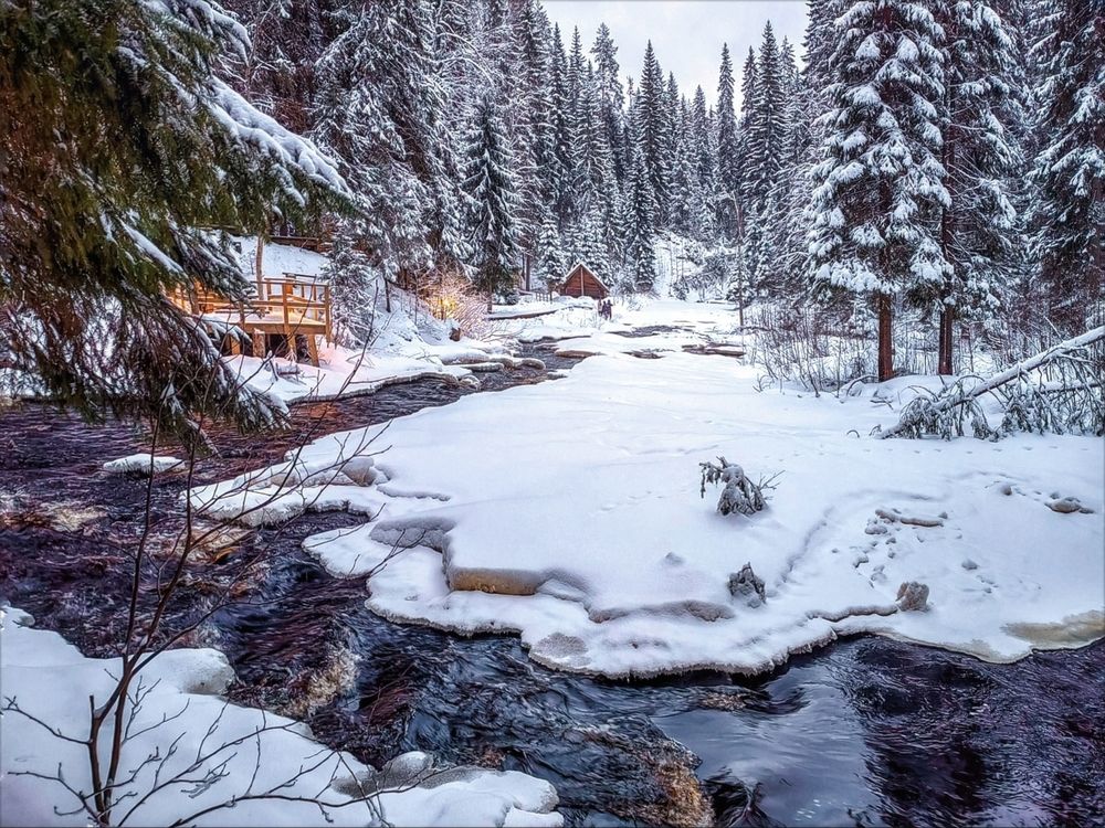 Photograph by Мария Самохвалова