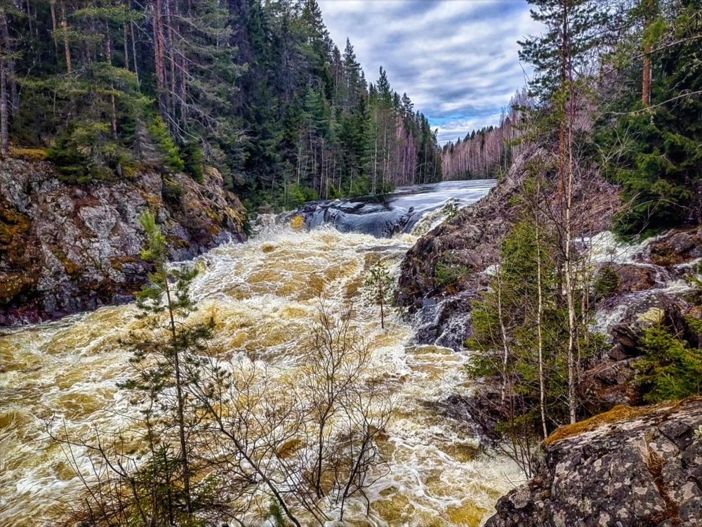 Photograph by Мария Самохвалова