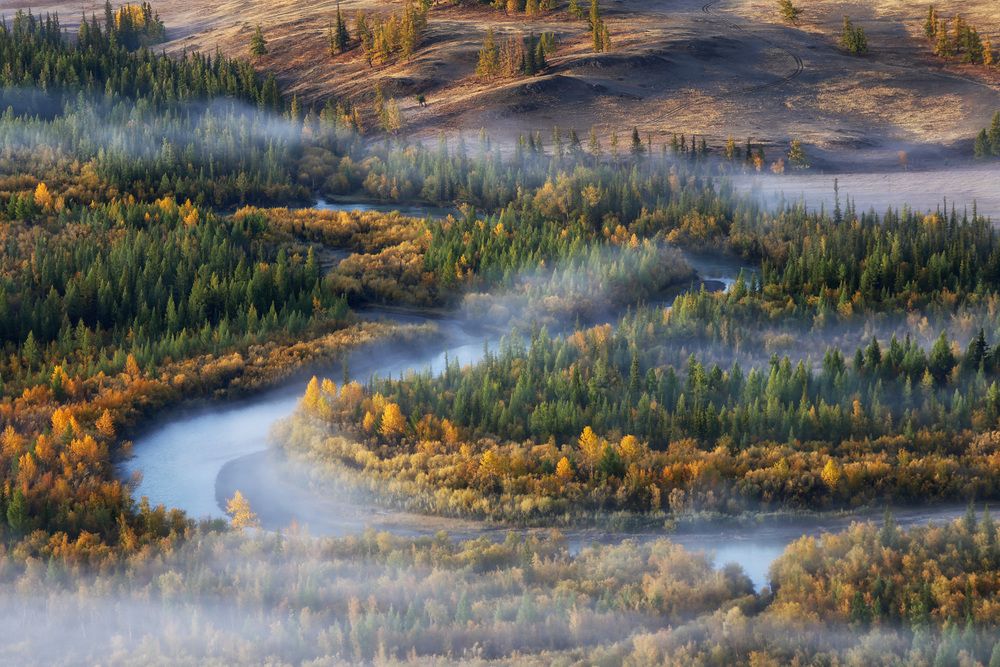 Photograph by Галина Хвостенко