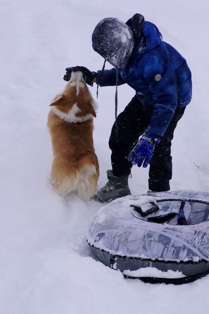 Photograph by Валентина Кузьменко