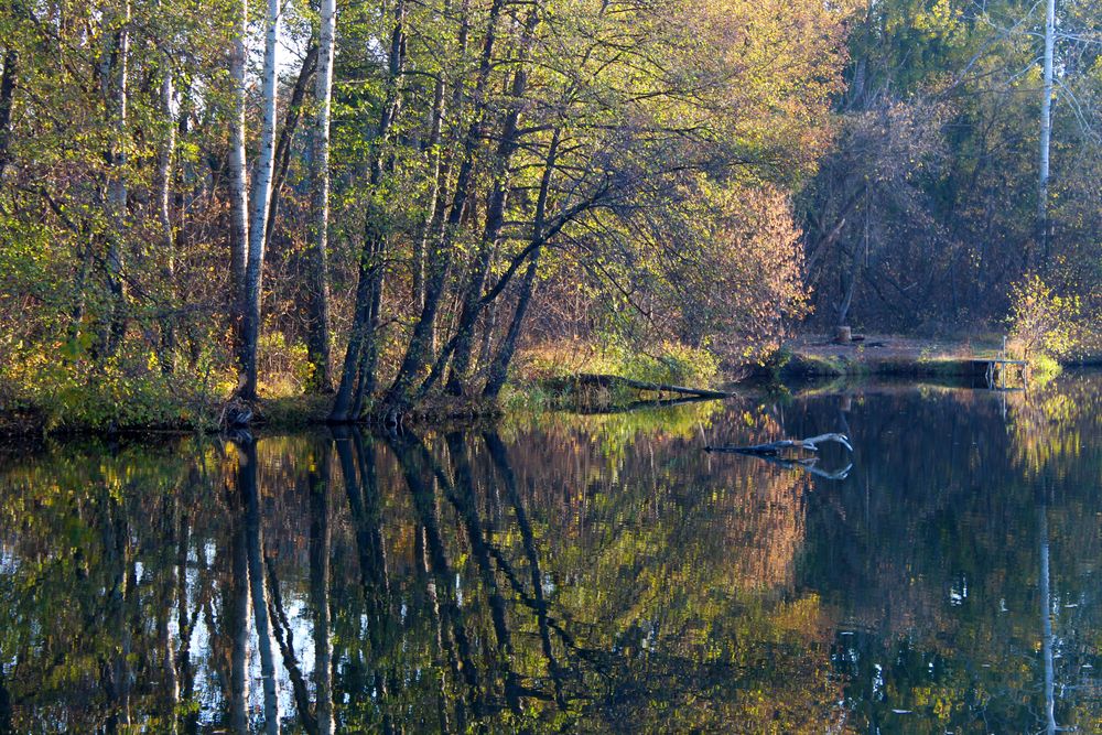 Photograph by Светлана Шубина