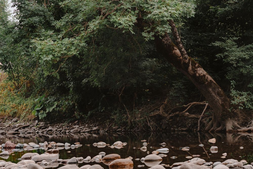 Фотография автора Валентина Комлева