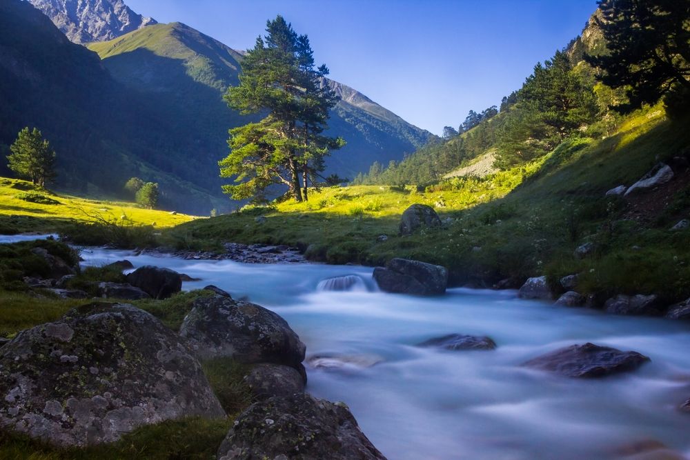 Photograph by Алексей Соколов