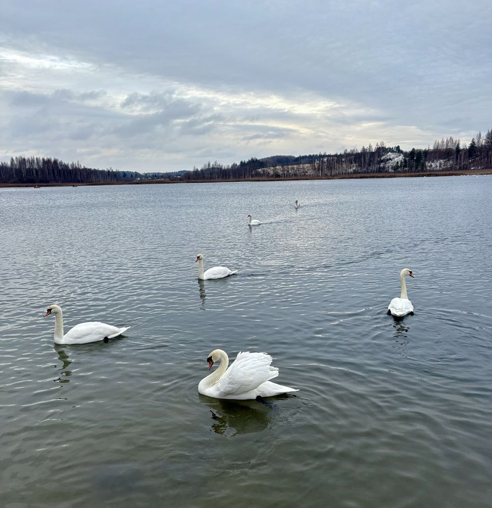 Photograph by Yulia Victorovna