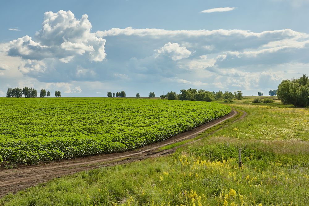 Photograph by Борис Максимов