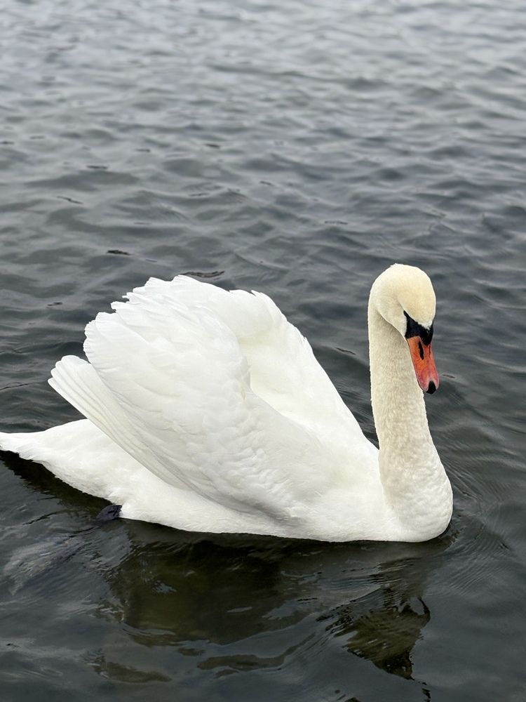 Photograph by Yulia Victorovna