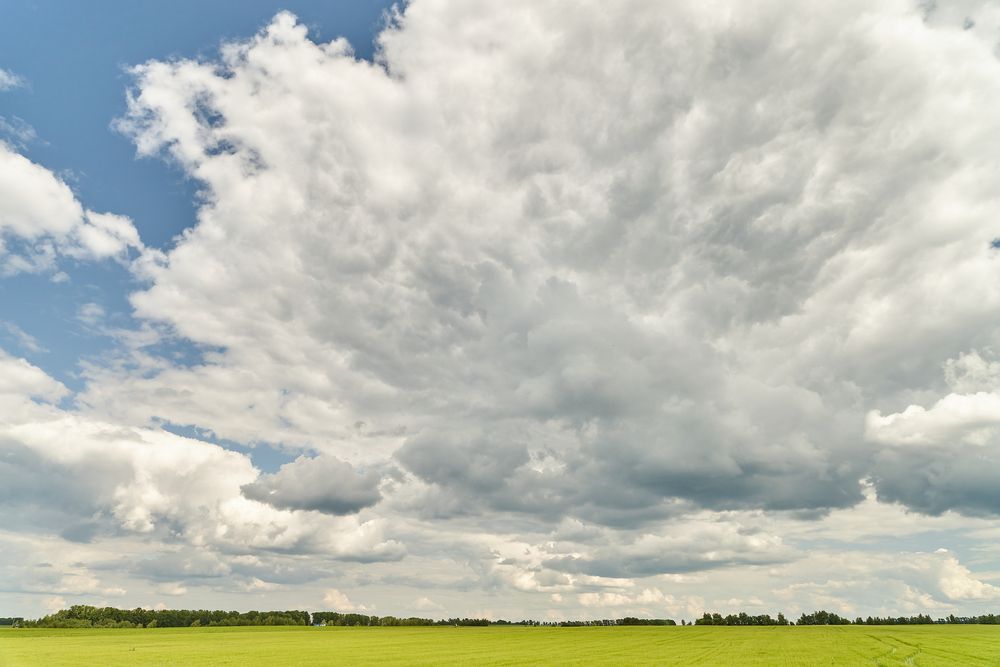 Photograph by Борис Максимов