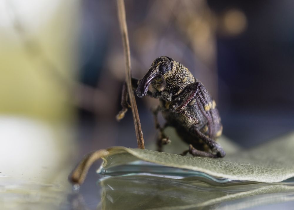 Photograph by Ольга Сергеенко