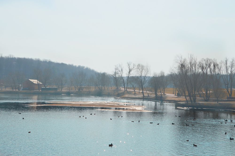 Фотография автора Елена Чулюнина