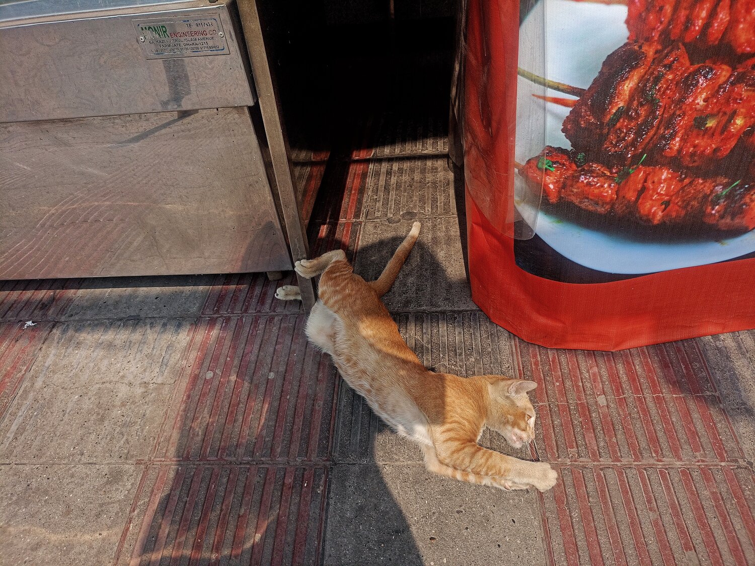 Photo #13232143