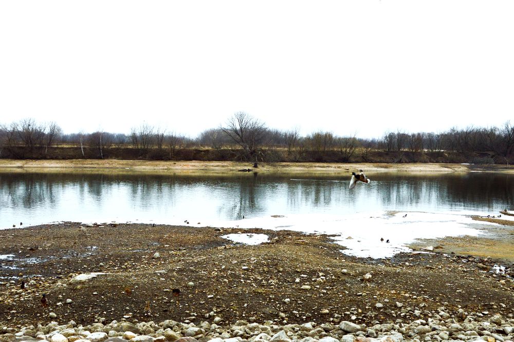 Фотография автора Елена Чулюнина